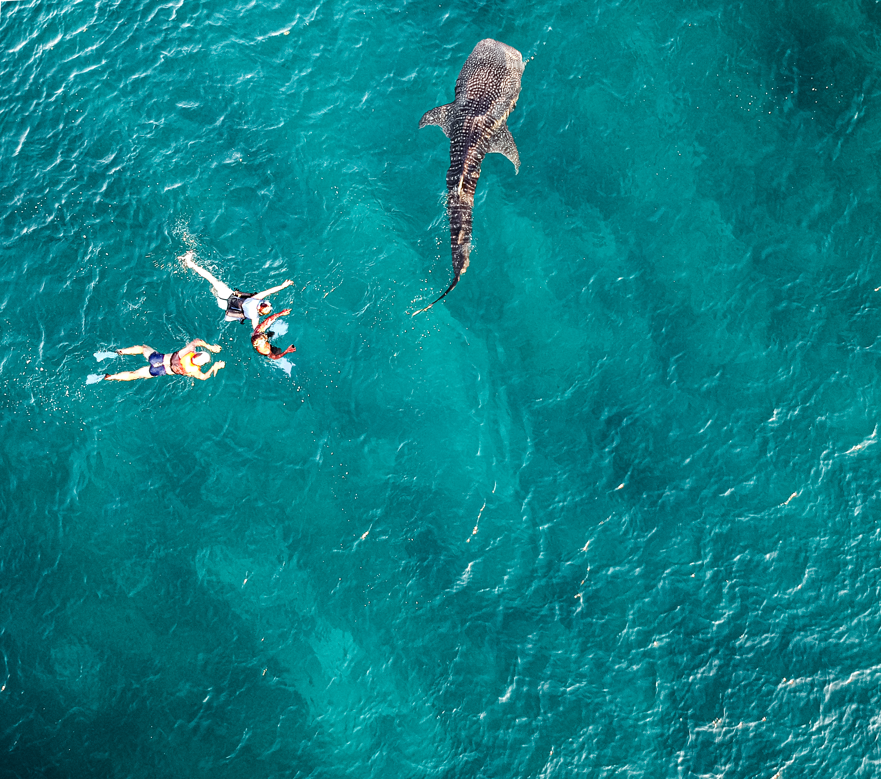 Why Divers Should Come to Fenfushi