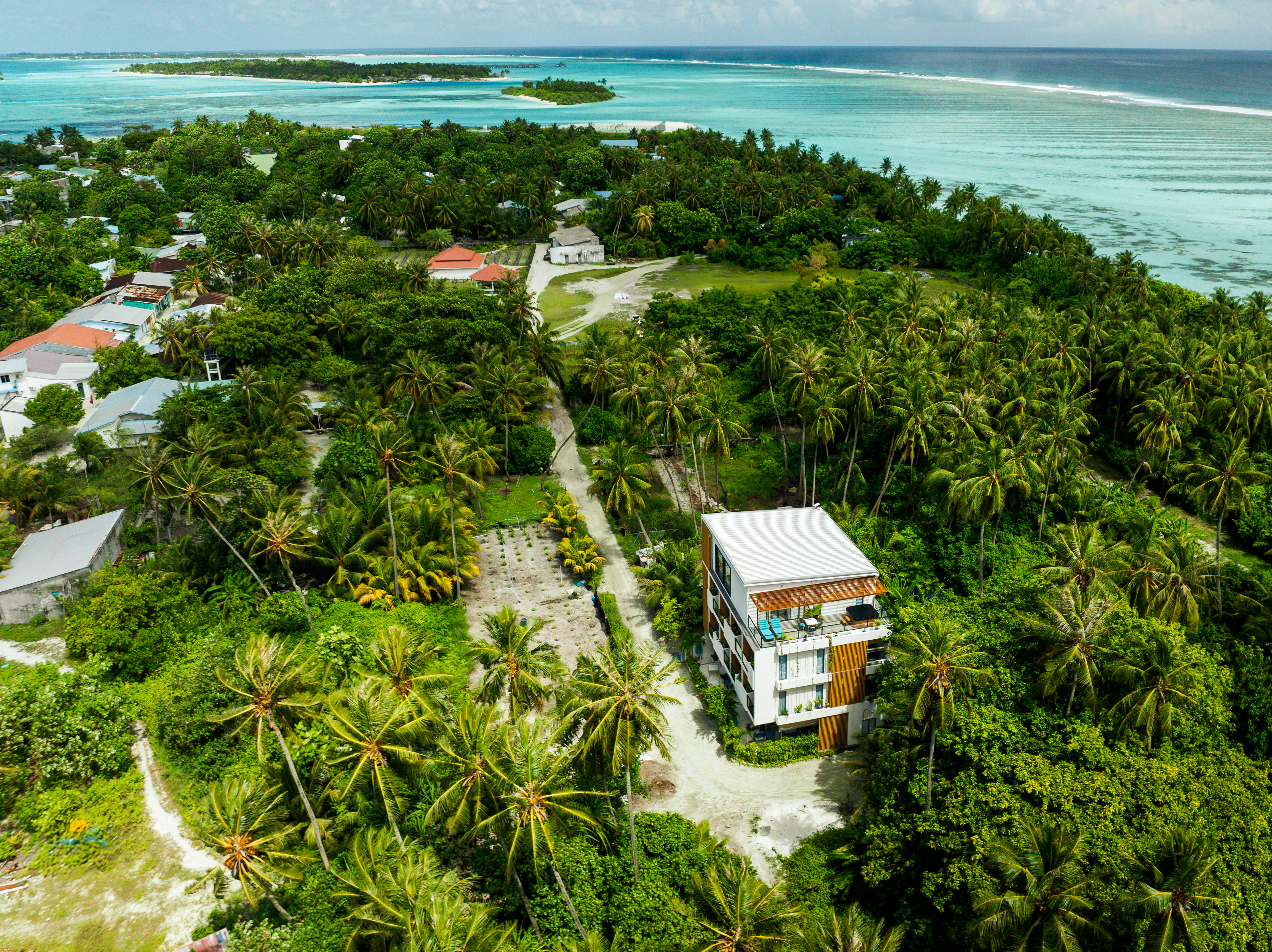 Whale Shark Boutique Hotel: Your Beachside Escape in South Ari Atoll