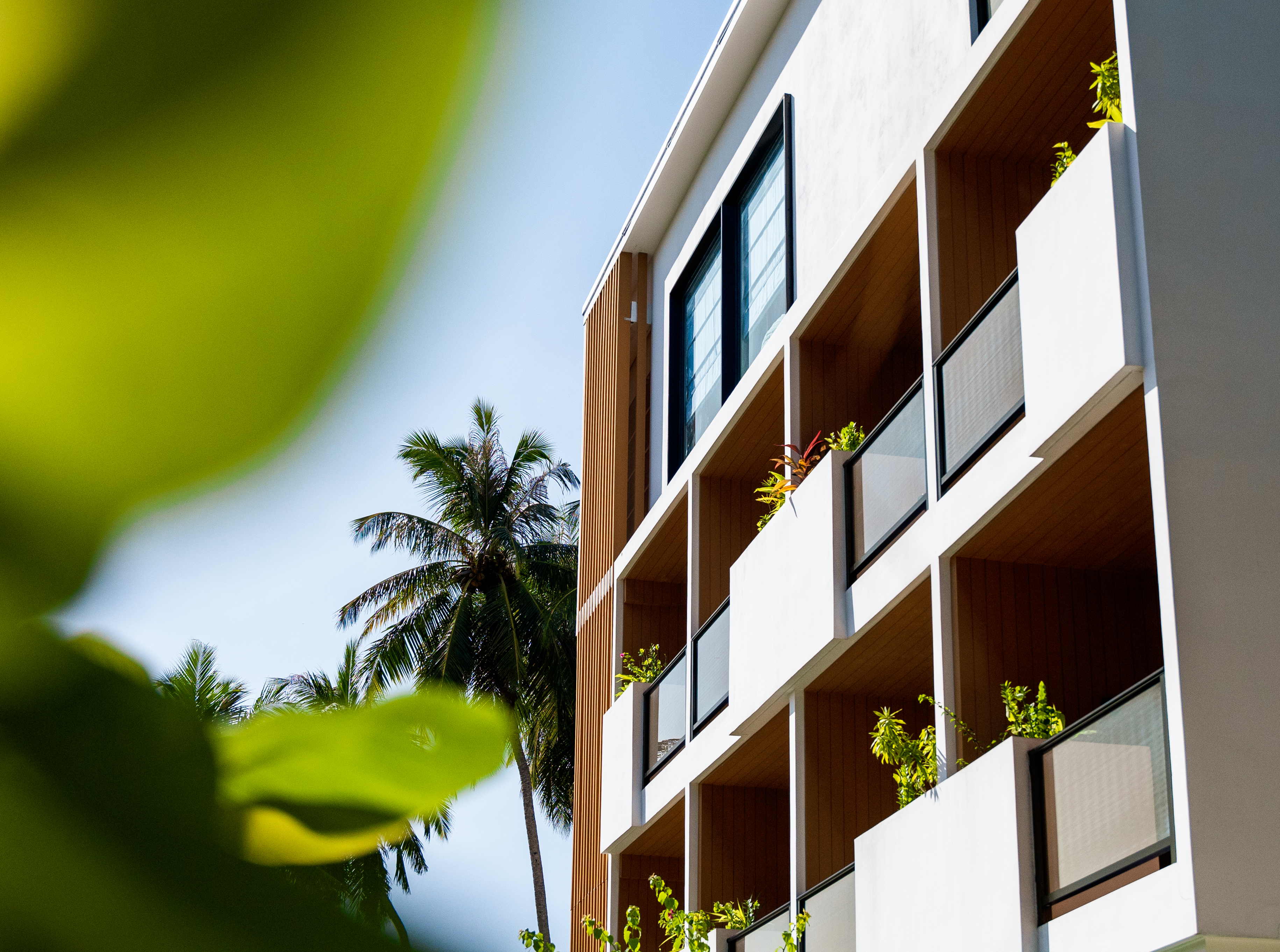 A Different Maldives: Why Stay on a Local Island Instead of a Resort?
