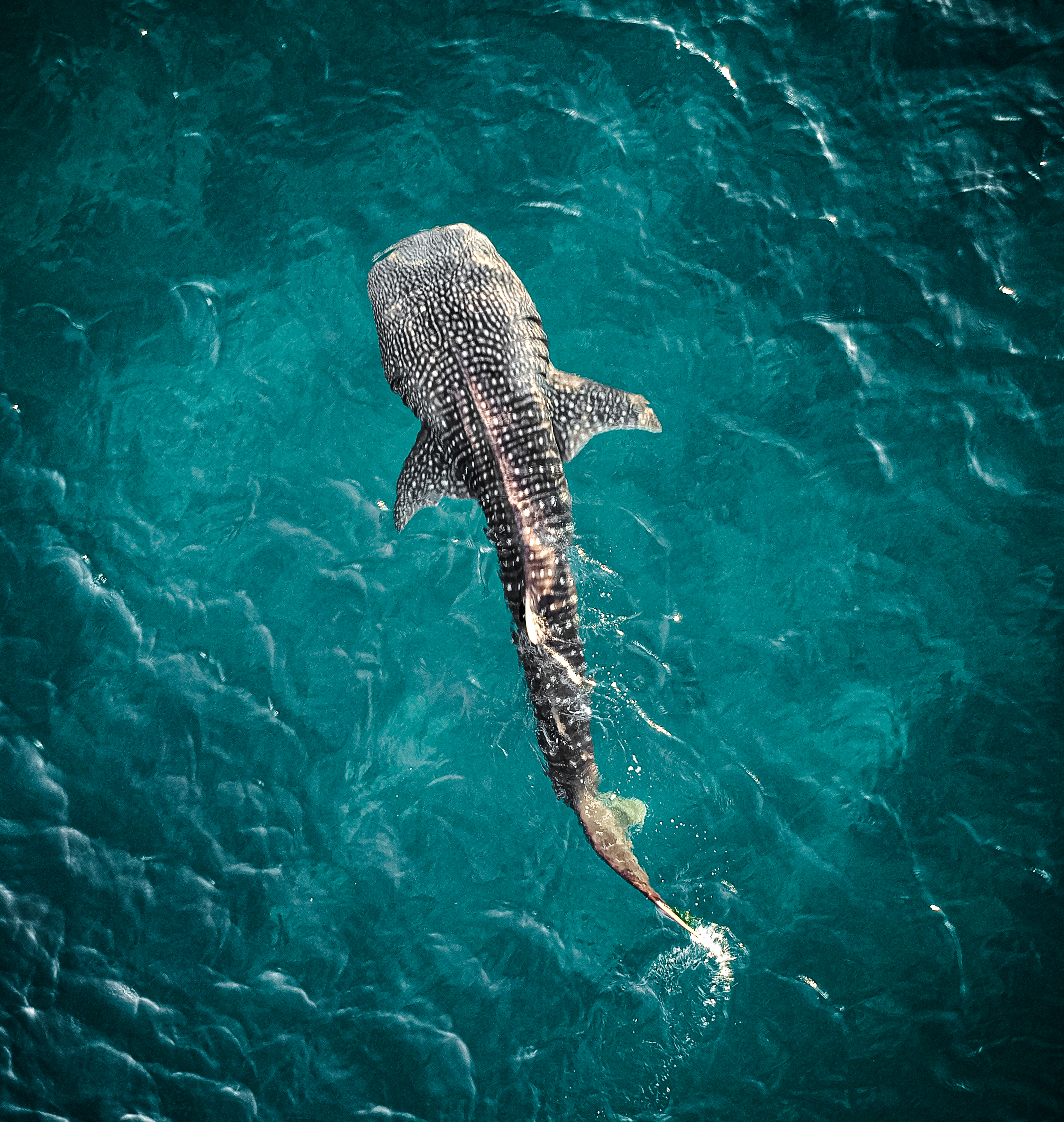 A Different Maldives: Why Stay on a Local Island Instead of a Resort?