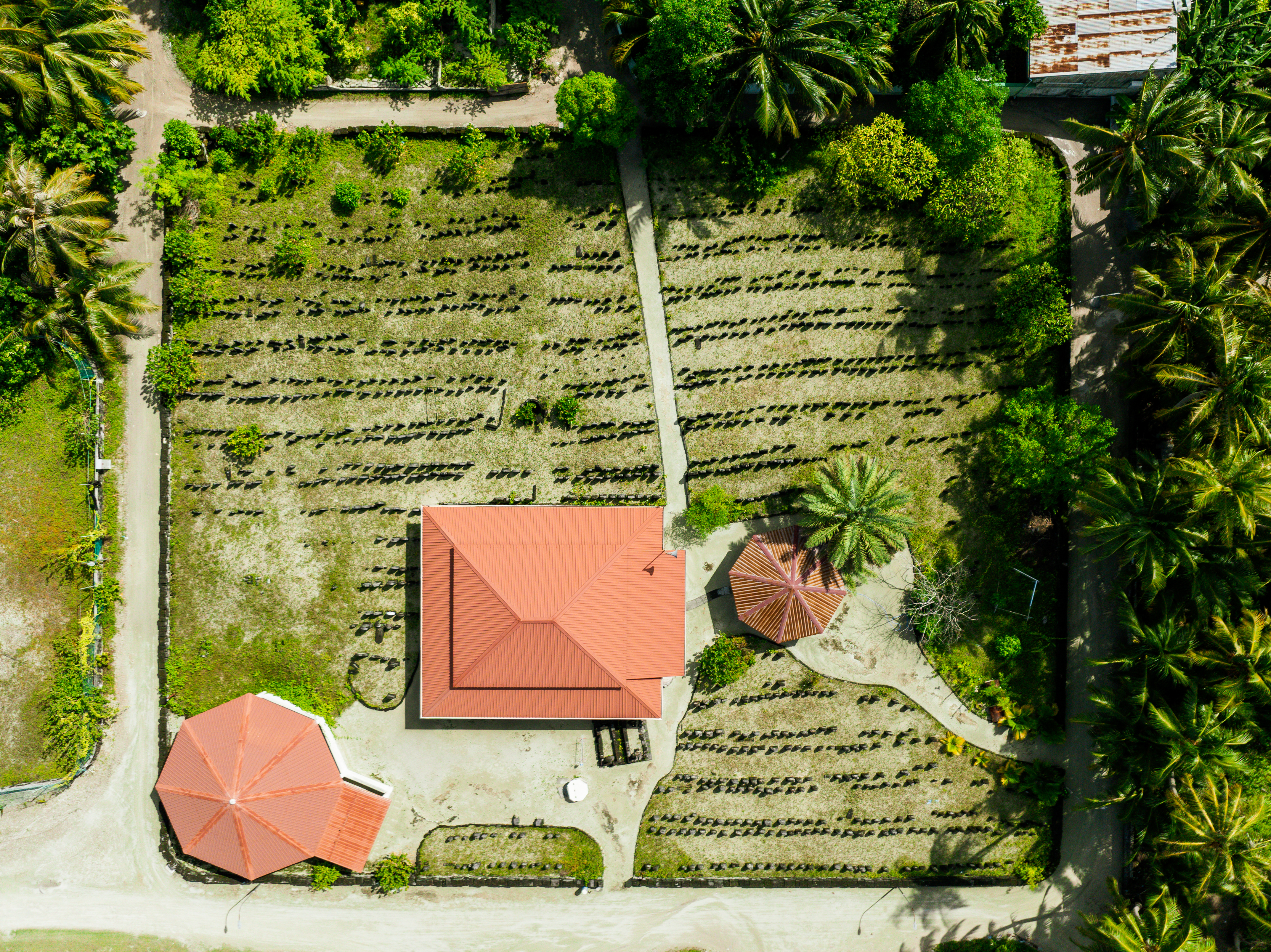 Discover Fenfushi: The Hidden Gem of South Ari Atoll