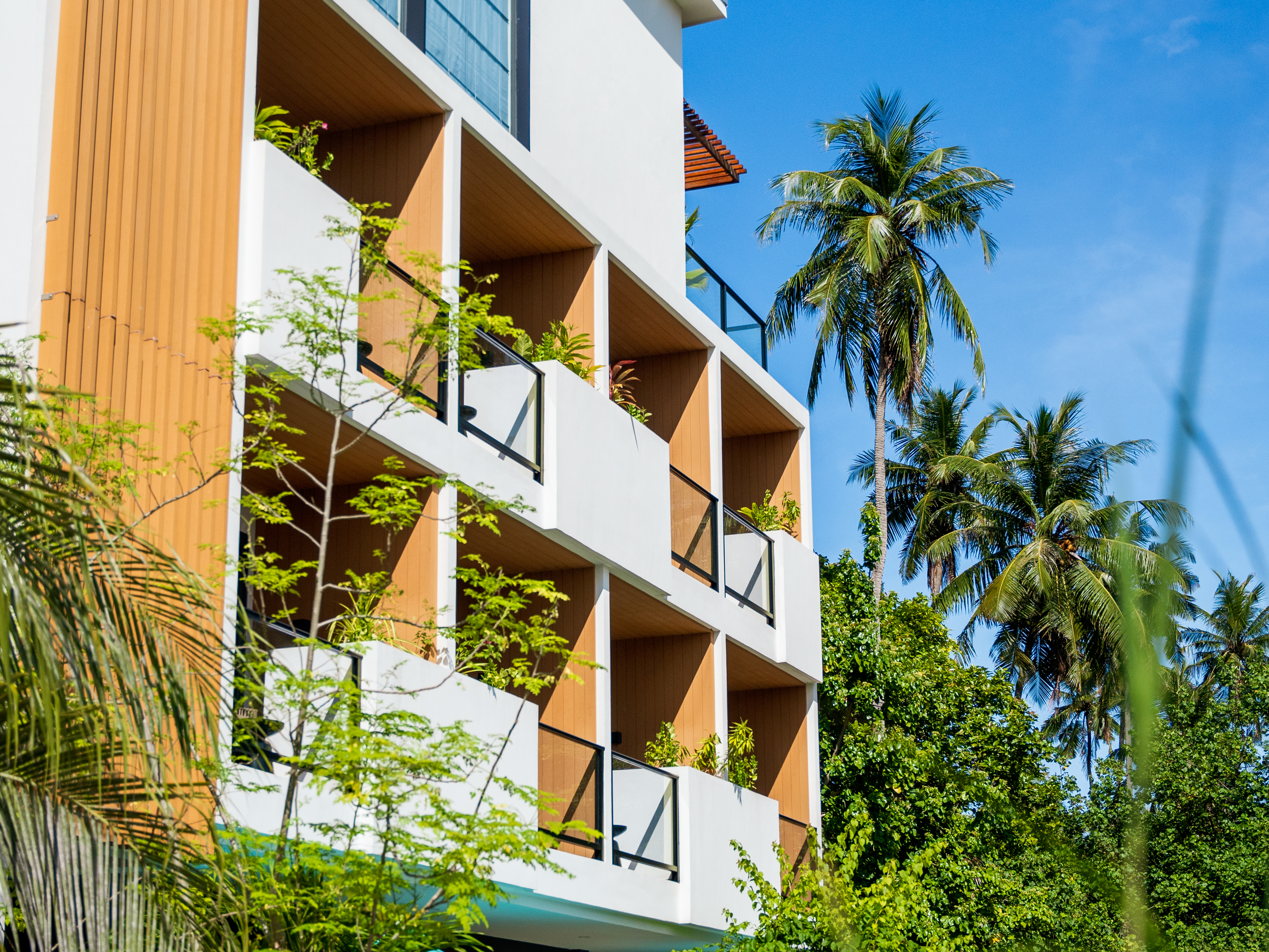 Whale Shark Boutique Hotel: Your Beachside Escape in South Ari Atoll