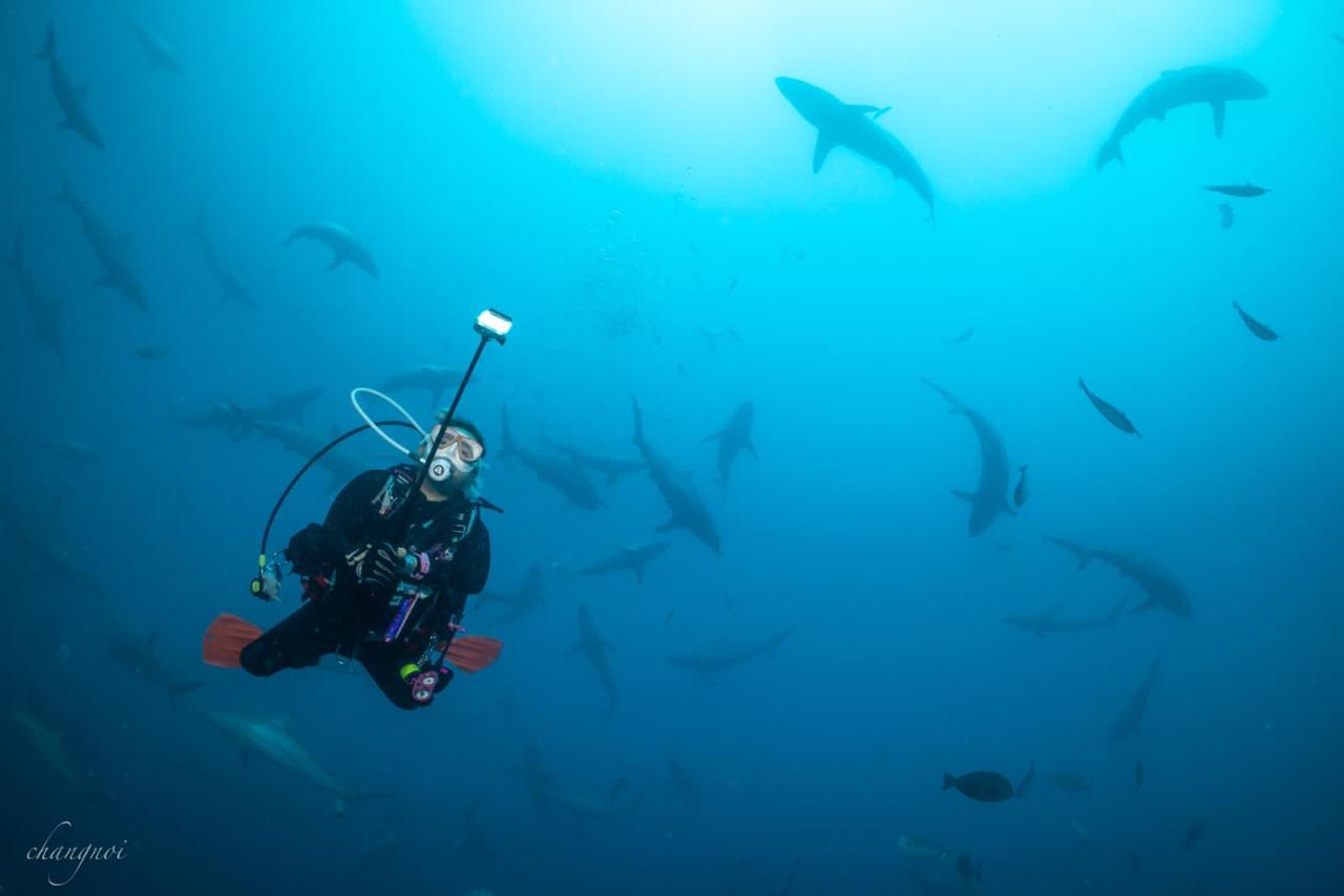 Why Divers Should Come to Fenfushi