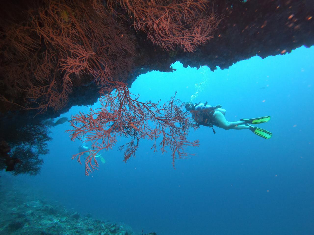 Why Divers Should Come to Fenfushi