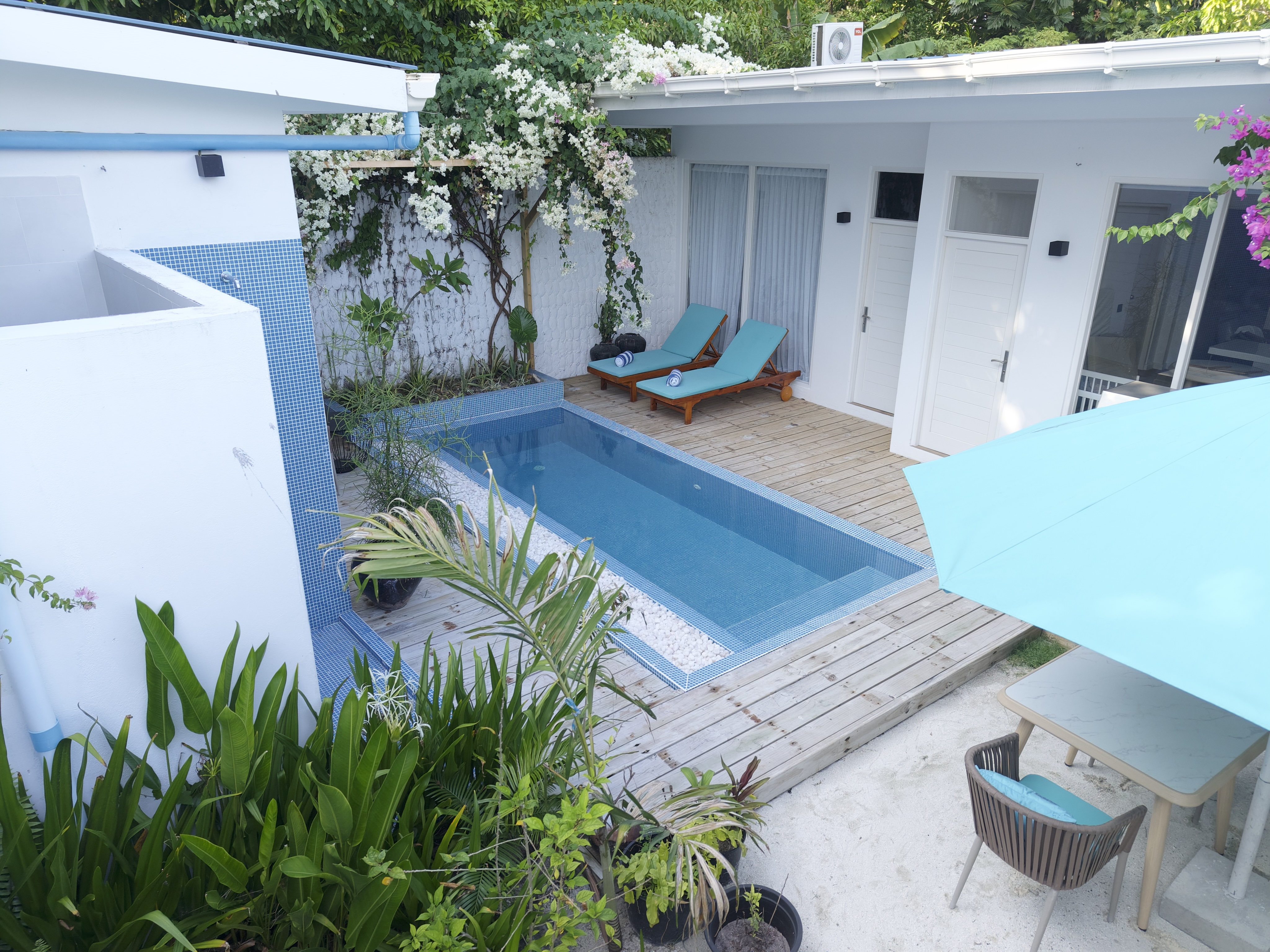 Whale Shark Villa